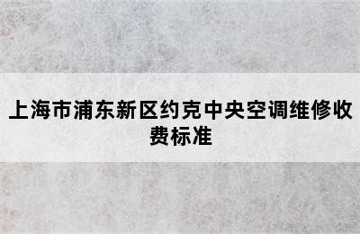 上海市浦东新区约克中央空调维修收费标准