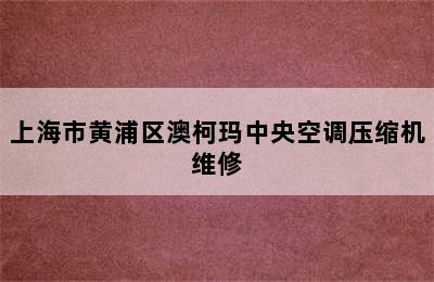 上海市黄浦区澳柯玛中央空调压缩机维修