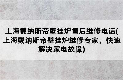 上海戴纳斯帝壁挂炉售后维修电话(上海戴纳斯帝壁挂炉维修专家，快速解决家电故障)