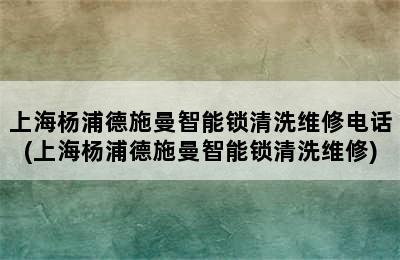 上海杨浦德施曼智能锁清洗维修电话(上海杨浦德施曼智能锁清洗维修)