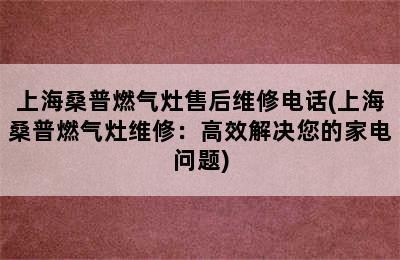 上海桑普燃气灶售后维修电话(上海桑普燃气灶维修：高效解决您的家电问题)