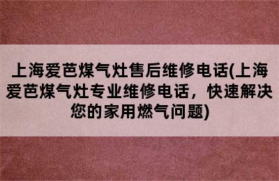 上海爱芭煤气灶售后维修电话(上海爱芭煤气灶专业维修电话，快速解决您的家用燃气问题)