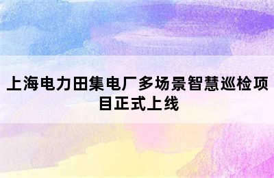 上海电力田集电厂多场景智慧巡检项目正式上线