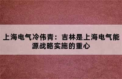 上海电气冷伟青：吉林是上海电气能源战略实施的重心