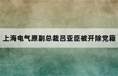 上海电气原副总裁吕亚臣被开除党籍