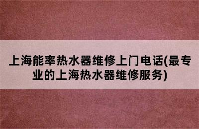 上海能率热水器维修上门电话(最专业的上海热水器维修服务)