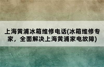 上海黄浦冰箱维修电话(冰箱维修专家，全面解决上海黄浦家电故障)