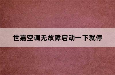 世嘉空调无故障启动一下就停