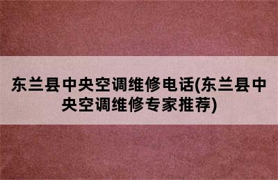 东兰县中央空调维修电话(东兰县中央空调维修专家推荐)