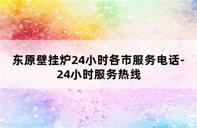 东原壁挂炉24小时各市服务电话-24小时服务热线