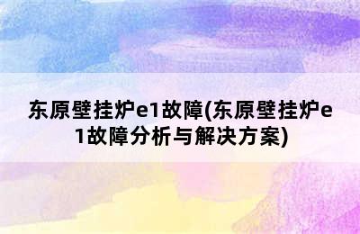 东原壁挂炉e1故障(东原壁挂炉e1故障分析与解决方案)