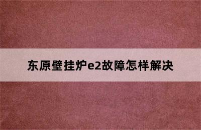 东原壁挂炉e2故障怎样解决