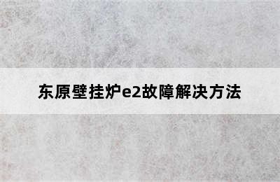 东原壁挂炉e2故障解决方法