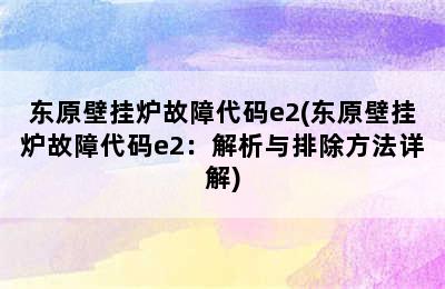 东原壁挂炉故障代码e2(东原壁挂炉故障代码e2：解析与排除方法详解)