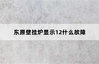 东原壁挂炉显示12什么故障