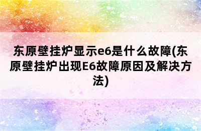 东原壁挂炉显示e6是什么故障(东原壁挂炉出现E6故障原因及解决方法)