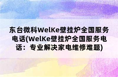 东台微科WelKe壁挂炉全国服务电话(WelKe壁挂炉全国服务电话：专业解决家电维修难题)