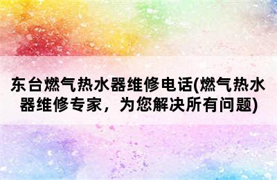 东台燃气热水器维修电话(燃气热水器维修专家，为您解决所有问题)