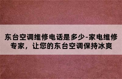 东台空调维修电话是多少-家电维修专家，让您的东台空调保持冰爽