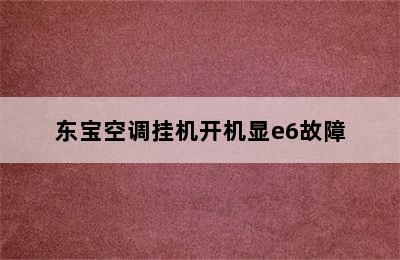 东宝空调挂机开机显e6故障