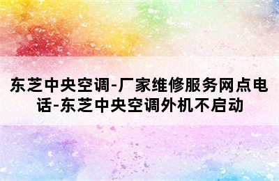 东芝中央空调-厂家维修服务网点电话-东芝中央空调外机不启动