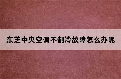 东芝中央空调不制冷故障怎么办呢