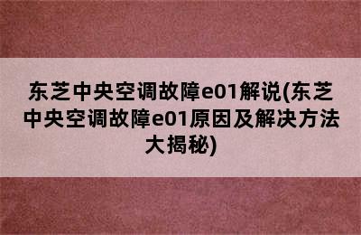 东芝中央空调故障e01解说(东芝中央空调故障e01原因及解决方法大揭秘)