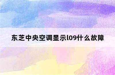 东芝中央空调显示l09什么故障