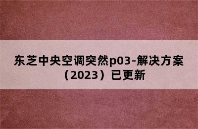 东芝中央空调突然p03-解决方案（2023）已更新