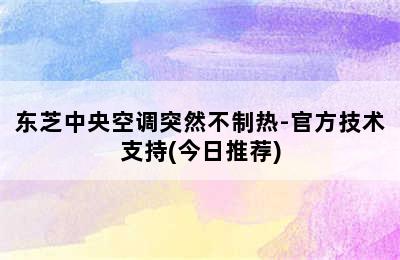 东芝中央空调突然不制热-官方技术支持(今日推荐)