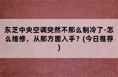 东芝中央空调突然不那么制冷了-怎么维修，从那方面入手？(今日推荐)