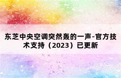 东芝中央空调突然轰的一声-官方技术支持（2023）已更新