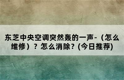 东芝中央空调突然轰的一声-（怎么维修）？怎么消除？(今日推荐)