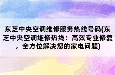 东芝中央空调维修服务热线号码(东芝中央空调维修热线：高效专业修复，全方位解决您的家电问题)