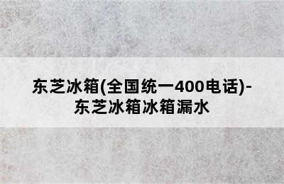 东芝冰箱(全国统一400电话)-东芝冰箱冰箱漏水