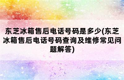 东芝冰箱售后电话号码是多少(东芝冰箱售后电话号码查询及维修常见问题解答)