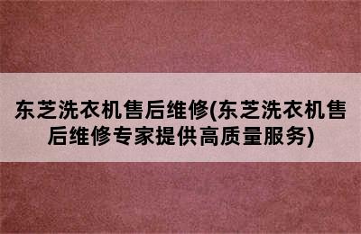 东芝洗衣机售后维修(东芝洗衣机售后维修专家提供高质量服务)