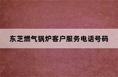 东芝燃气锅炉客户服务电话号码