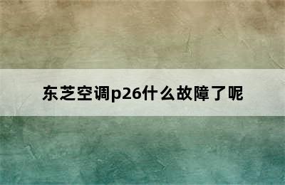 东芝空调p26什么故障了呢