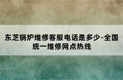 东芝锅炉维修客服电话是多少-全国统一维修网点热线