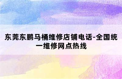 东莞东鹏马桶维修店铺电话-全国统一维修网点热线