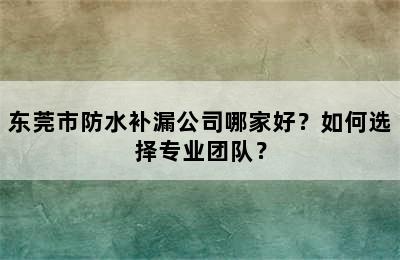 东莞市防水补漏公司哪家好？如何选择专业团队？