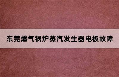 东莞燃气锅炉蒸汽发生器电极故障