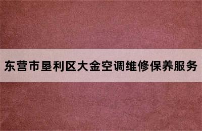 东营市垦利区大金空调维修保养服务