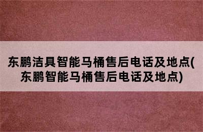 东鹏洁具智能马桶售后电话及地点(东鹏智能马桶售后电话及地点)