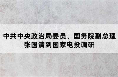 中共中央政治局委员、国务院副总理张国清到国家电投调研