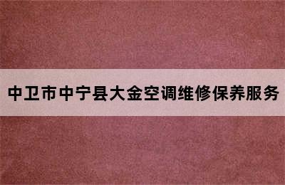 中卫市中宁县大金空调维修保养服务