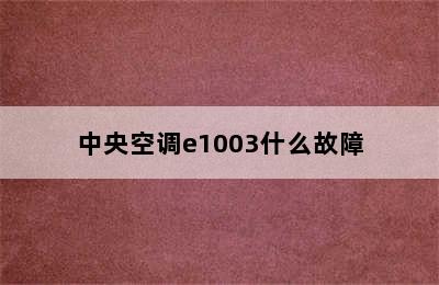 中央空调e1003什么故障