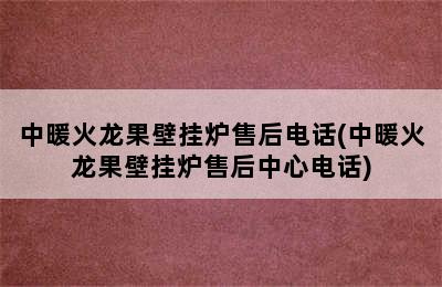 中暖火龙果壁挂炉售后电话(中暖火龙果壁挂炉售后中心电话)