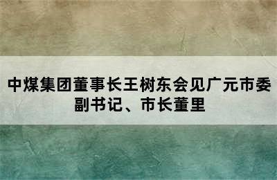 中煤集团董事长王树东会见广元市委副书记、市长董里